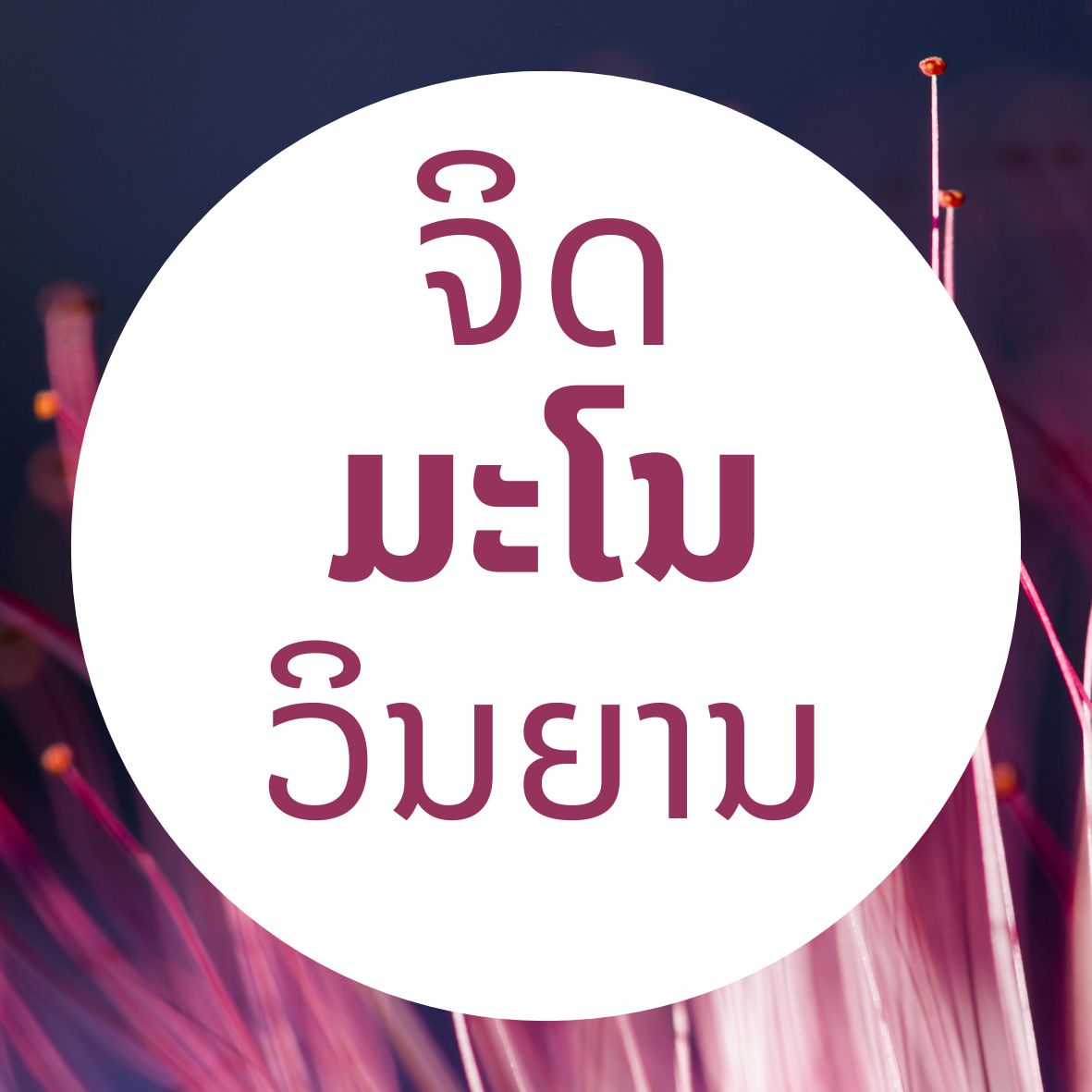 ຈິດ ມະໂນ ວິນຍານ